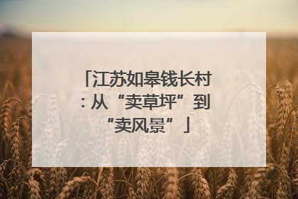 江苏如皋钱长村：从“卖草坪”到“卖风景”