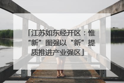 江苏如东经开区：惟“新”图强以“新”提质推进产业强区