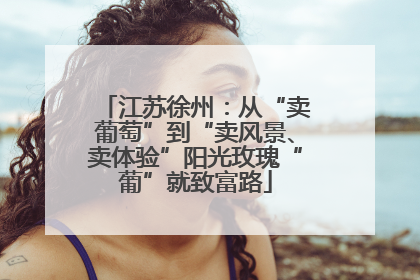 江苏徐州：从“卖葡萄”到“卖风景、卖体验”阳光玫瑰“葡”就致富路