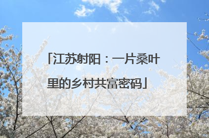 江苏射阳：一片桑叶里的乡村共富密码
