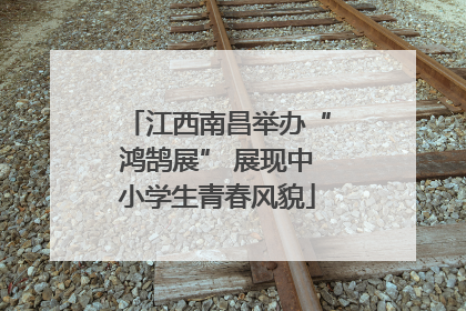江西南昌举办“鸿鹄展” 展现中小学生青春风貌