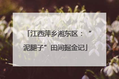 江西萍乡湘东区：“泥腿子”田间掘金记