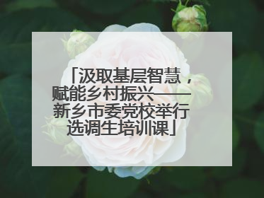 汲取基层智慧，赋能乡村振兴——新乡市委党校举行选调生培训课