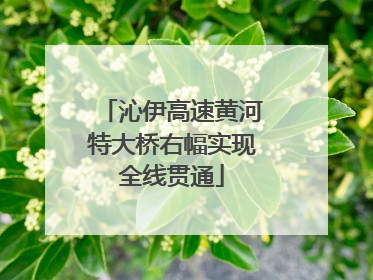 沁伊高速黄河特大桥右幅实现全线贯通