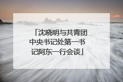 沈晓明与共青团中央书记处第一书记阿东一行会谈