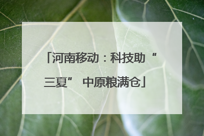 河南移动：科技助“三夏” 中原粮满仓