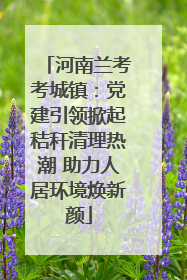 河南兰考考城镇：党建引领掀起秸秆清理热潮 助力人居环境焕新颜