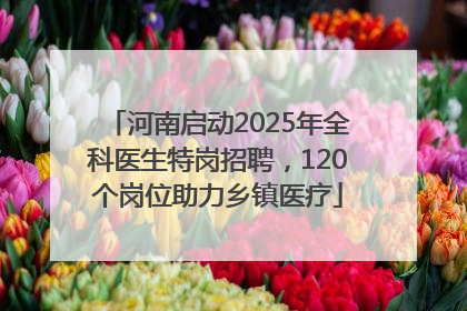 河南启动2025年全科医生特岗招聘，120个岗位助力乡镇医疗