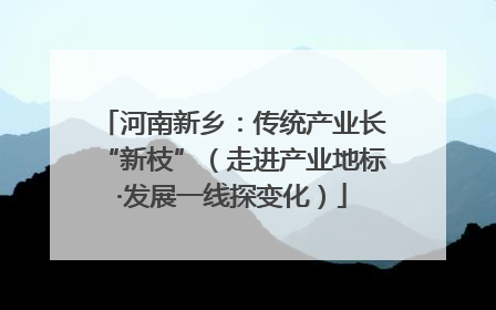 河南新乡：传统产业长“新枝”（走进产业地标·发展一线探变化）