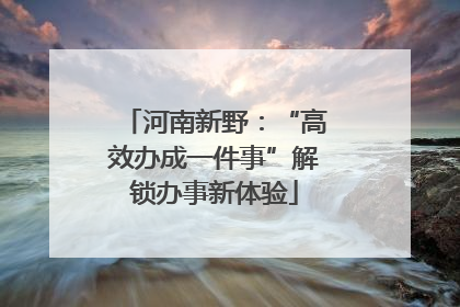 河南新野：“高效办成一件事”解锁办事新体验
