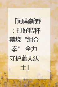 河南新野：打好秸秆禁烧“组合拳” 全力守护蓝天沃土