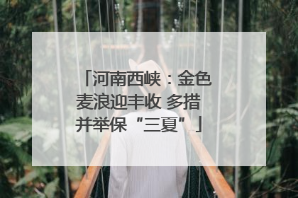 河南西峡：金色麦浪迎丰收 多措并举保“三夏”