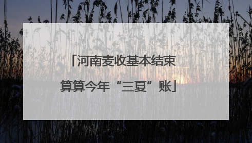 河南麦收基本结束 算算今年“三夏”账
