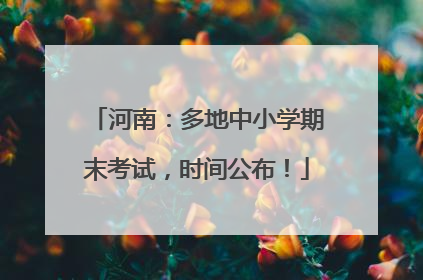 河南：多地中小学期末考试，时间公布！