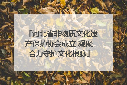 河北省非物质文化遗产保护协会成立 凝聚合力守护文化根脉