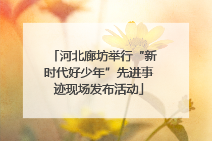 河北廊坊举行“新时代好少年”先进事迹现场发布活动