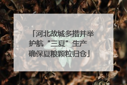河北故城多措并举护航“三夏”生产 确保夏粮颗粒归仓