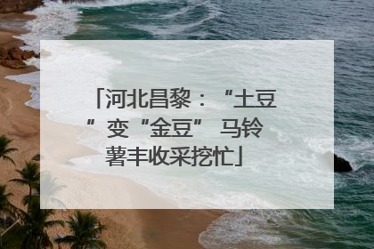 河北昌黎：“土豆”变“金豆” 马铃薯丰收采挖忙