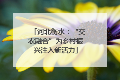 河北衡水：“交农融合”为乡村振兴注入新活力