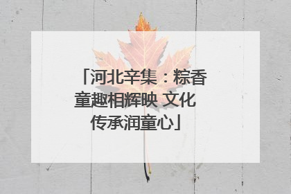 河北辛集：粽香童趣相辉映 文化传承润童心