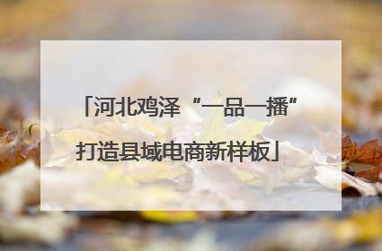 河北鸡泽“一品一播”打造县域电商新样板