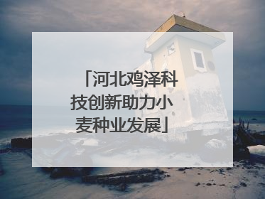 河北鸡泽科技创新助力小麦种业发展