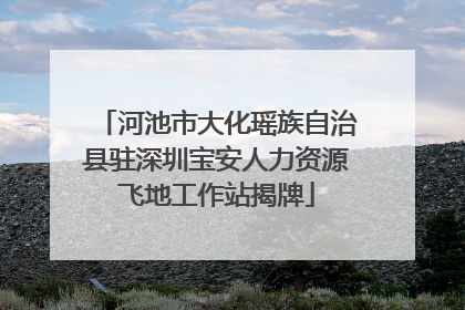 河池市大化瑶族自治县驻深圳宝安人力资源飞地工作站揭牌