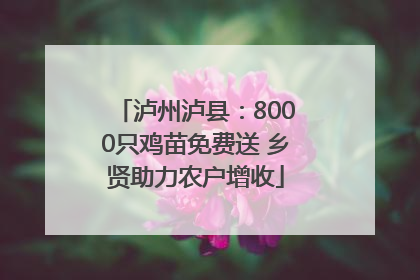 泸州泸县：8000只鸡苗免费送 乡贤助力农户增收