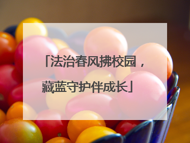 法治春风拂校园，藏蓝守护伴成长
