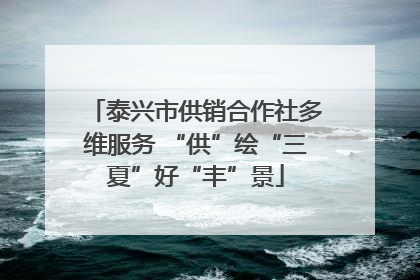 泰兴市供销合作社多维服务 “供”绘“三夏”好“丰”景