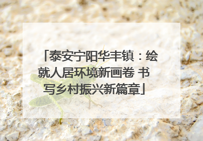 泰安宁阳华丰镇：绘就人居环境新画卷 书写乡村振兴新篇章