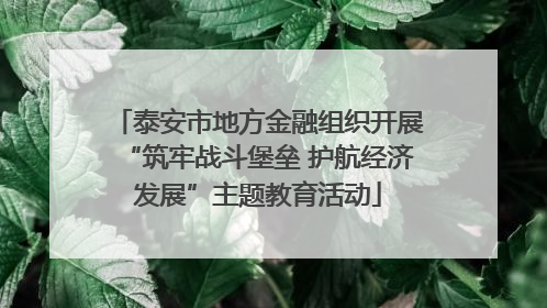 泰安市地方金融组织开展“筑牢战斗堡垒 护航经济发展”主题教育活动