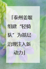 泰州姜堰组建“轻骑队”为基层治理注入新动力