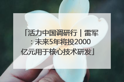 活力中国调研行｜雷军：未来5年将投2000亿元用于核心技术研发