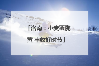 洛南：小麦覆陇黄 丰收好时节