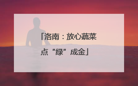 洛南：放心蔬菜点“绿”成金
