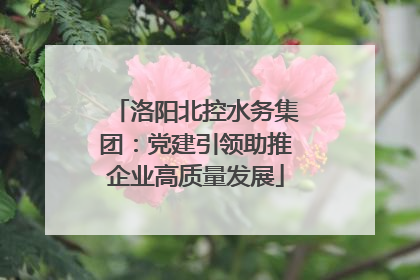 洛阳北控水务集团：党建引领助推企业高质量发展