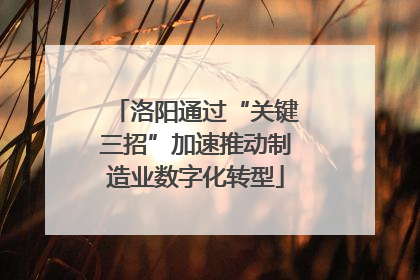 洛阳通过“关键三招”加速推动制造业数字化转型