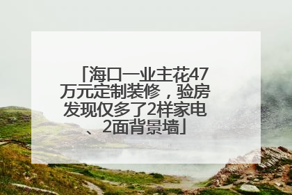 海口一业主花47万元定制装修，验房发现仅多了2样家电、2面背景墙