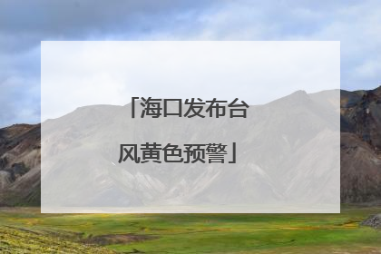 海口发布台风黄色预警