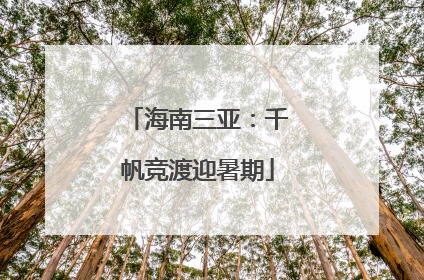 海南三亚：千帆竞渡迎暑期