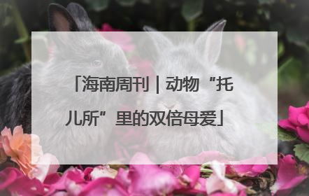 海南周刊｜动物“托儿所”里的双倍母爱