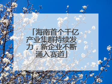 海南首个千亿产业集群持续发力，新企业不断涌入赛道