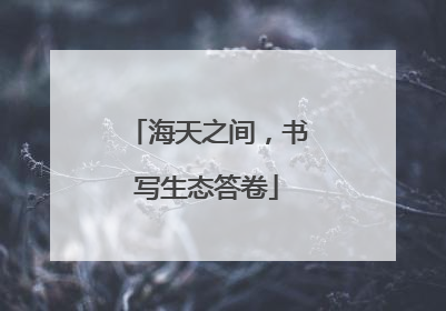 海天之间，书写生态答卷