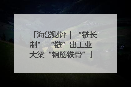 海岱财评｜“链长制” “链”出工业大梁“钢筋铁骨”