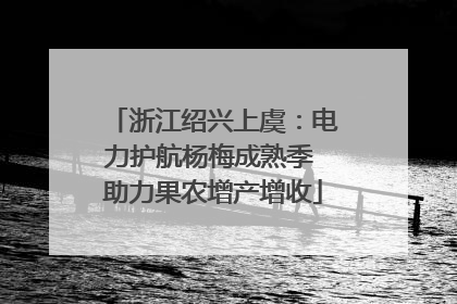 浙江绍兴上虞：电力护航杨梅成熟季 助力果农增产增收