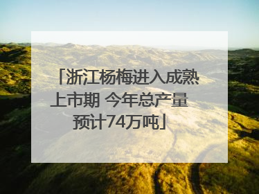 浙江杨梅进入成熟上市期 今年总产量预计74万吨