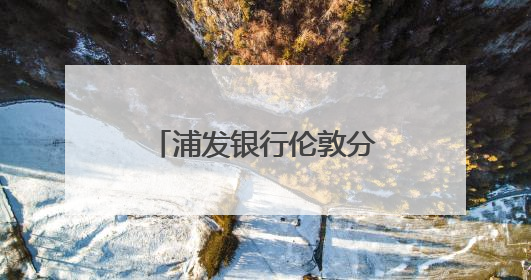 浦发银行伦敦分行行长李舸：发挥跨境平台优势，助力中英经贸合作
