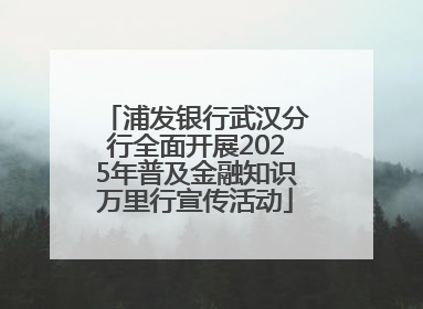 浦发银行武汉分行全面开展2025年普及金融知识万里行宣传活动