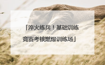 淬火练兵！基础训练竞赛考核燃爆训练场
